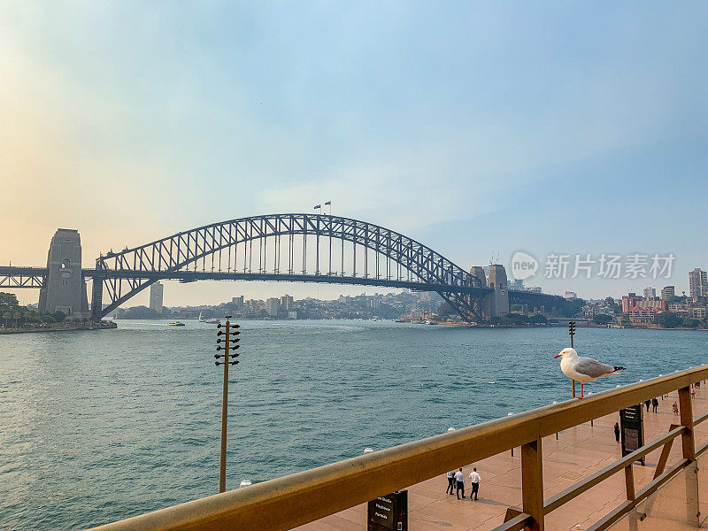 Sydney Harbor Bridge view at dusk, Australia